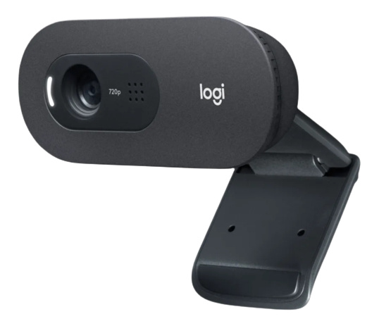 Logitech - C505e HD Webcam, brownbox in de groep COMPUTERS & RANDAPPARATUUR / Computeraccessoires / Webcamera\'s bij TP E-commerce Nordic AB (C09101)