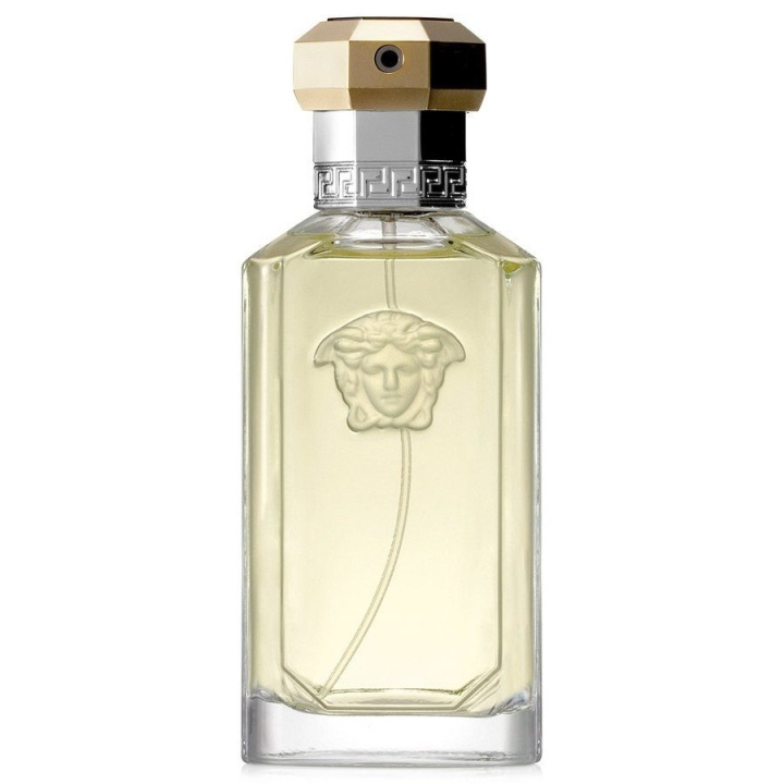 Versace The Dreamer Edt 100ml in de groep BEAUTY & HEALTH / Geuren & Parfum / Parfum / Parfum voor hem bij TP E-commerce Nordic AB (C10705)