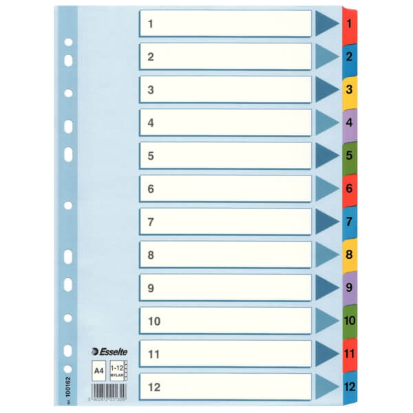 ESSELTE Register Mylar A4/1-12 Multifärgat in de groep HUISHOUDEN & TUIN / Kantoormateriaal / Overige bij TP E-commerce Nordic AB (C11983)