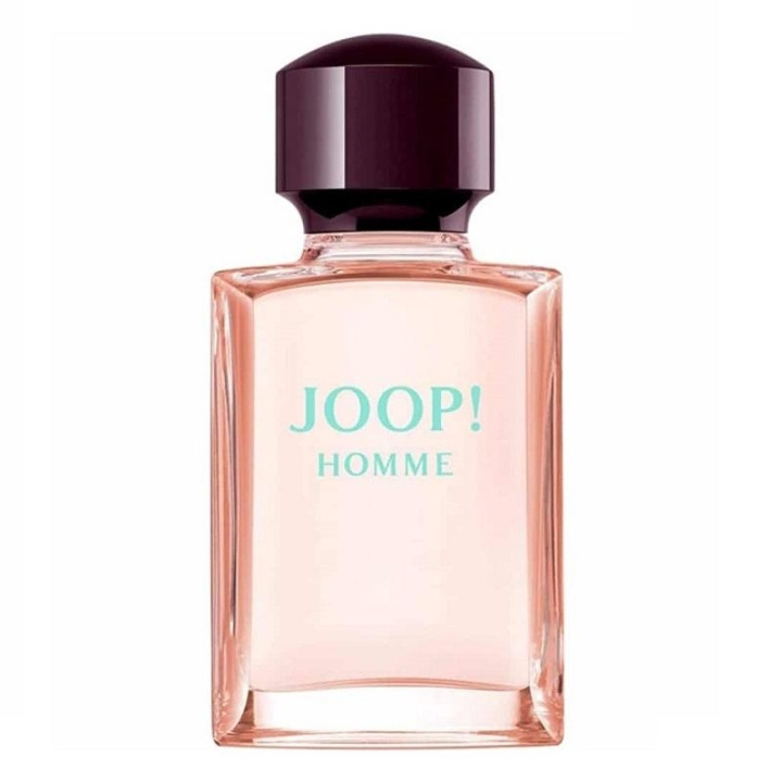 Joop! Homme Mild Deodorant Natural Spray 75ml in de groep BEAUTY & HEALTH / Geuren & Parfum / Parfum / Parfum voor hem bij TP E-commerce Nordic AB (C13470)