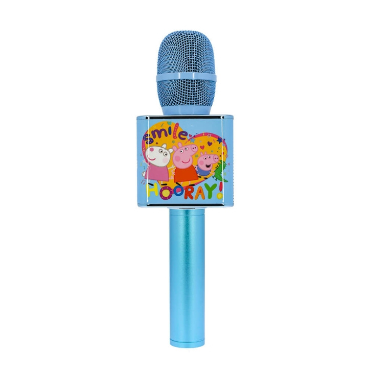 Karaoke Microphone in de groep HOME ELECTRONICS / Audio & Beeld / Handmicrofoons bij TP E-commerce Nordic AB (C15791)