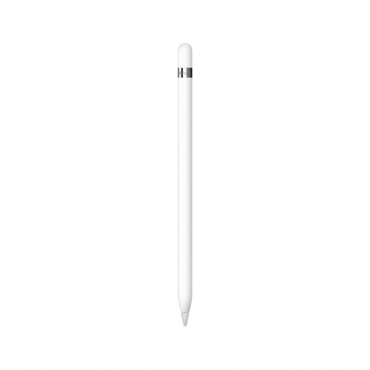 Apple Pencil (1st Generation) in de groep SMARTPHONE & TABLETS / Overige accessoires / Overige bij TP E-commerce Nordic AB (C21294)