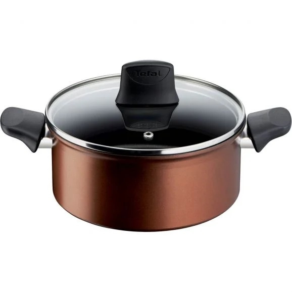 Tefal Kokkärl Resource Stewpot 20 cm + Lid G2534453 Tefal in de groep HUISHOUDEN & TUIN / Keukengerei / Potten & Pannen bij TP E-commerce Nordic AB (C21976)