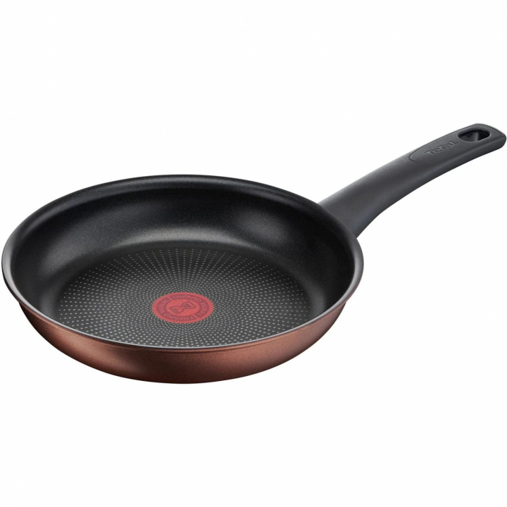 Tefal Stekpanna Resource Frypan 24 cm G2530432 Tefal in de groep HUISHOUDEN & TUIN / Keukengerei / Koekenpannen bij TP E-commerce Nordic AB (C21979)