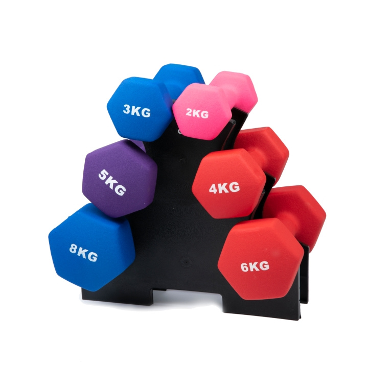 Rack för dumbbells in de groep SPORT, VRIJE TIJD & HOBBY / Oefen materiaal / Training-accessoires bij TP E-commerce Nordic AB (C24744)