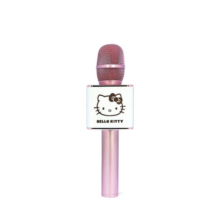 Karaoke Microphone in de groep COMPUTERS & RANDAPPARATUUR / Computeraccessoires / Microfoons bij TP E-commerce Nordic AB (C25889)