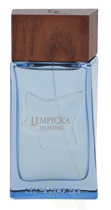 Lolita Lempicka Homme Edt Spray 100 ml in de groep BEAUTY & HEALTH / Geuren & Parfum / Parfum / Parfum voor hem bij TP E-commerce Nordic AB (C34233)