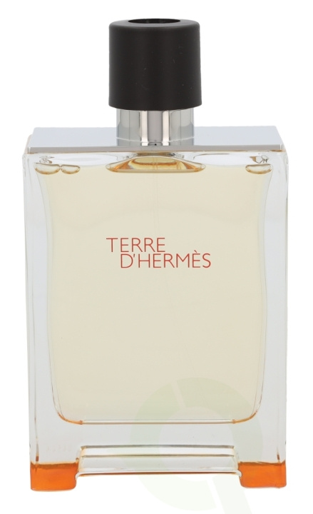 Hermes Terre D\'Hermes Edt Spray 200 ml in de groep BEAUTY & HEALTH / Geuren & Parfum / Parfum / Parfum voor hem bij TP E-commerce Nordic AB (C34509)
