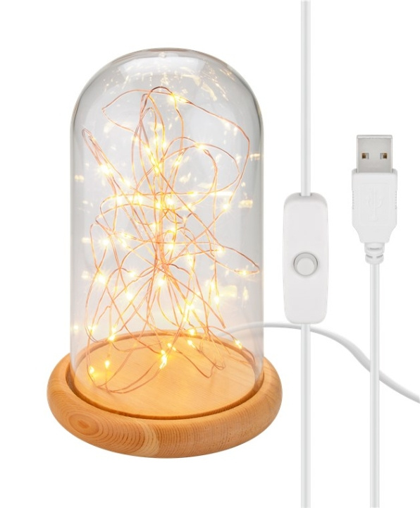 Goobay Glaskupa med mikro LED mikro-ljusslinga med träplatta, 115 cm USB-kabel, 5 m ljuskedja med 50 mikro-LED i varmvitt (2700 K) och strömbrytare (On/Off) in de groep HOME ELECTRONICS / Verlichting / Tafellampen bij TP E-commerce Nordic AB (C44094)