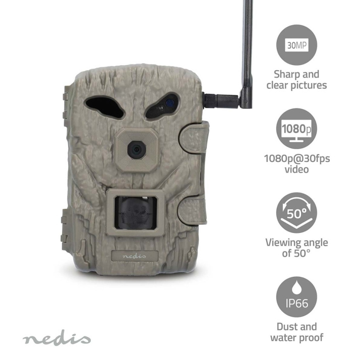 Nedis Wildcamera | 1080p@30fps | 30.0 MPixel | 2 MPixel CMOS | IP66 | 4G | Zwart No-Glow IR | Nachtzicht | Kijkhoek: 50 ° | Bewegingssensor | Detectiehoek: 50 ° | Detectiebereik: 20 m | LCD-Scherm | Groen in de groep HOME ELECTRONICS / Foto & Video / Wildlife/Trail camera\'s bij TP E-commerce Nordic AB (C47780)