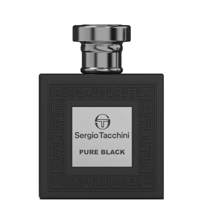 Sergio Tacchini Pure Black Edt 100ml in de groep BEAUTY & HEALTH / Geuren & Parfum / Parfum / Parfum voor hem bij TP E-commerce Nordic AB (C56971)