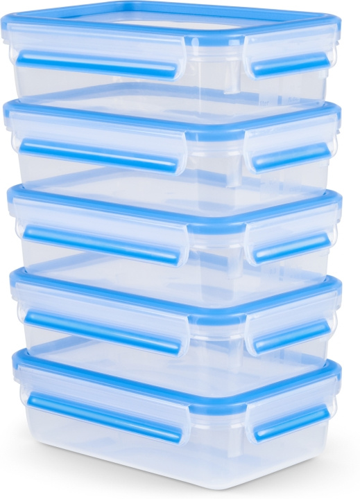 Tefal MasterSeal MealPrep förvaringsbehållare, 5 x 0,8 L in de groep HUISHOUDEN & TUIN / Keukengerei / Lunchboxen & Voedselcontainer bij TP E-commerce Nordic AB (C58174)
