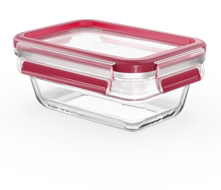 Tefal MasterSeal Glasförvaringslåda, glas, 0,45 L in de groep HUISHOUDEN & TUIN / Keukengerei / Lunchboxen & Voedselcontainer bij TP E-commerce Nordic AB (C58184)