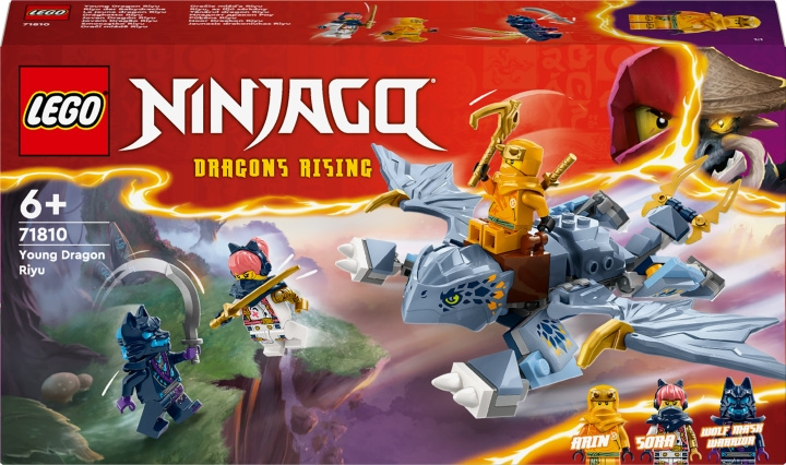 LEGO Ninjago 71810 - Little Dragon Riyu in de groep SPEELGOED, KINDER- & BABYPRODUCTEN / Speelgoed / Bouwspeelgoed / Lego bij TP E-commerce Nordic AB (C58537)