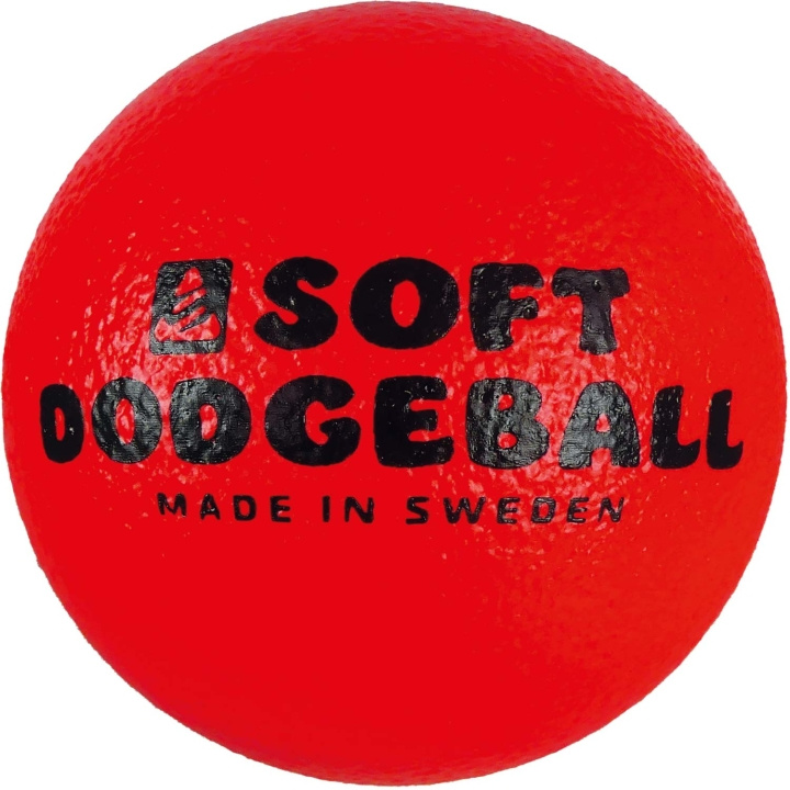SportMe Dodgeball in de groep SPEELGOED, KINDER- & BABYPRODUCTEN / Buitenspeelgoed / Sport & Spel bij TP E-commerce Nordic AB (C58933)