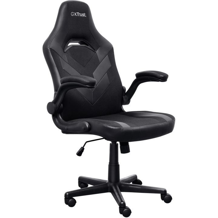 Trust GXT 703 Riye Gamingstol Svart in de groep COMPUTERS & RANDAPPARATUUR / GAMING / Gaming stoelen bij TP E-commerce Nordic AB (C60289)