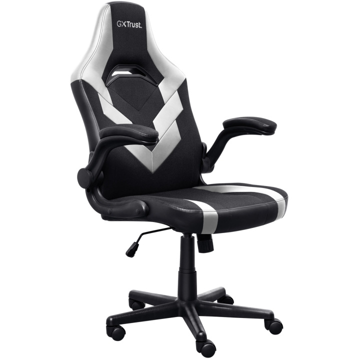 Trust GXT 703W Riye Gamingstol Vit in de groep COMPUTERS & RANDAPPARATUUR / GAMING / Gaming stoelen bij TP E-commerce Nordic AB (C60292)