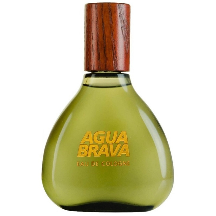 Antonio Puig Puig Agua Brava Edc 100ml in de groep BEAUTY & HEALTH / Geuren & Parfum / Parfum / Parfum voor hem bij TP E-commerce Nordic AB (C60585)
