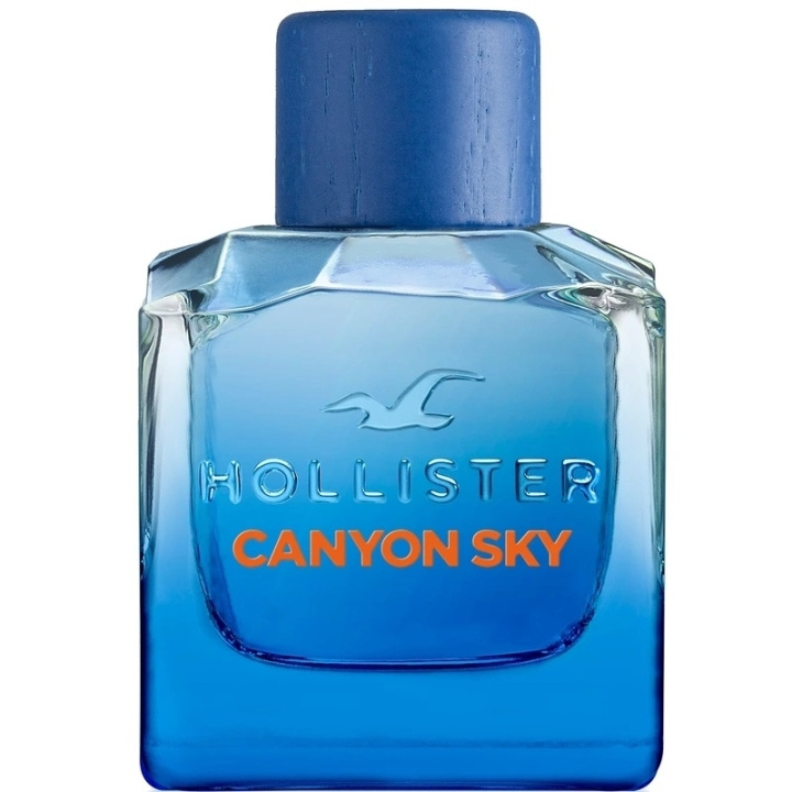 Hollister Canyon Sky For Him Edt 100ml in de groep BEAUTY & HEALTH / Geuren & Parfum / Parfum / Parfum voor hem bij TP E-commerce Nordic AB (C62239)