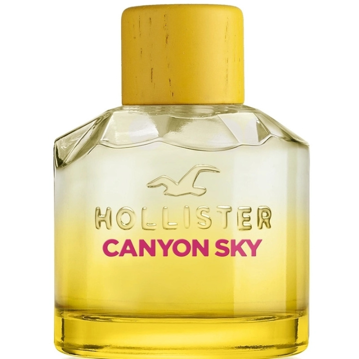 Hollister Canyon Sky For Her Edp 100ml in de groep BEAUTY & HEALTH / Geuren & Parfum / Parfum / Parfum voor haar bij TP E-commerce Nordic AB (C62242)