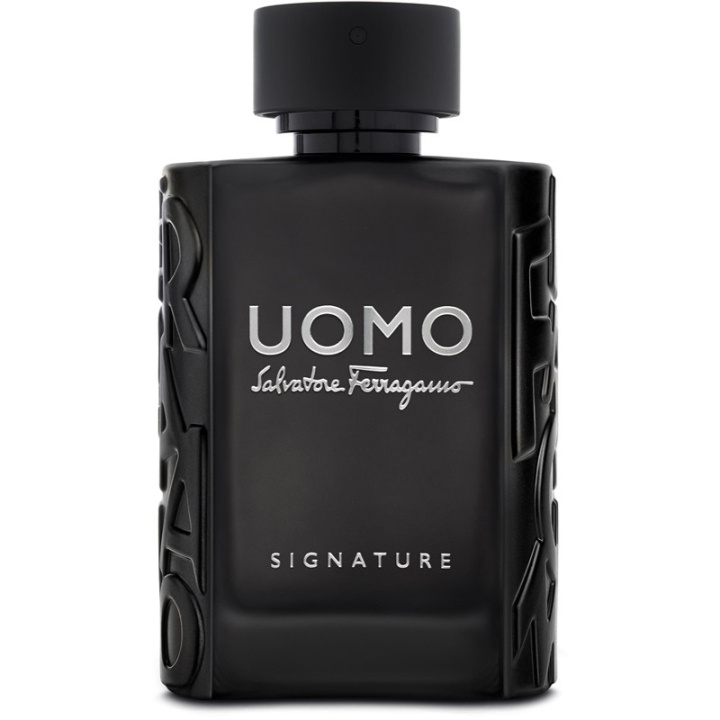 Salvatore Ferragamo Uomo Signature Edp 100ml in de groep BEAUTY & HEALTH / Geuren & Parfum / Parfum / Parfum voor hem bij TP E-commerce Nordic AB (C62245)