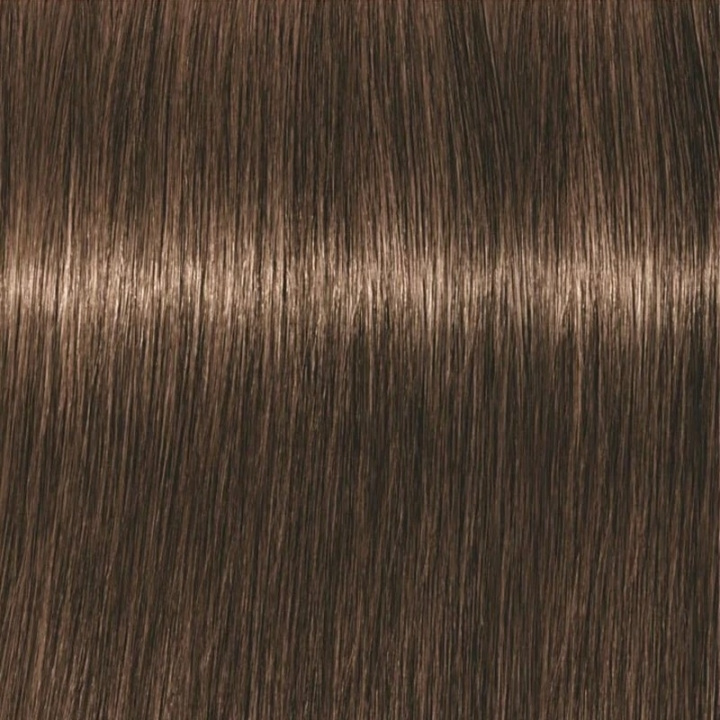 Schwarzkopf Professional Igora Vibrance Kit 5-65 Light Brown Chocolate Gold in de groep BEAUTY & HEALTH / Haar & Styling / Haarverzorging / Haarverf / Haarverf & Kleurbommen bij TP E-commerce Nordic AB (C62316)