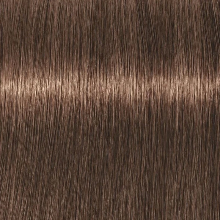 Schwarzkopf Professional Igora Vibrance Kit 6-46 Dark Blonde Beige Chocolate in de groep BEAUTY & HEALTH / Haar & Styling / Haarverzorging / Haarverf / Haarverf & Kleurbommen bij TP E-commerce Nordic AB (C62324)