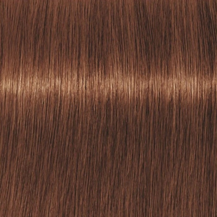 Schwarzkopf Professional Igora Vibrance Kit 5-67 Light Brown Chocolate Copper in de groep BEAUTY & HEALTH / Haar & Styling / Haarverzorging / Haarverf / Haarverf & Kleurbommen bij TP E-commerce Nordic AB (C62327)