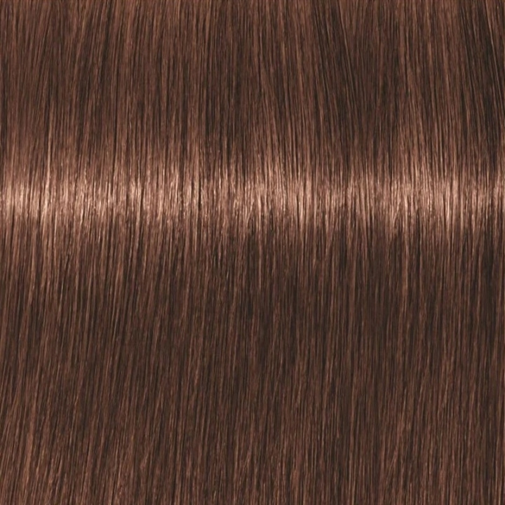 Schwarzkopf Professional Igora Vibrance Kit 6-68 Dark Blonde Chocolate Red in de groep BEAUTY & HEALTH / Haar & Styling / Haarverzorging / Haarverf / Haarverf & Kleurbommen bij TP E-commerce Nordic AB (C62328)
