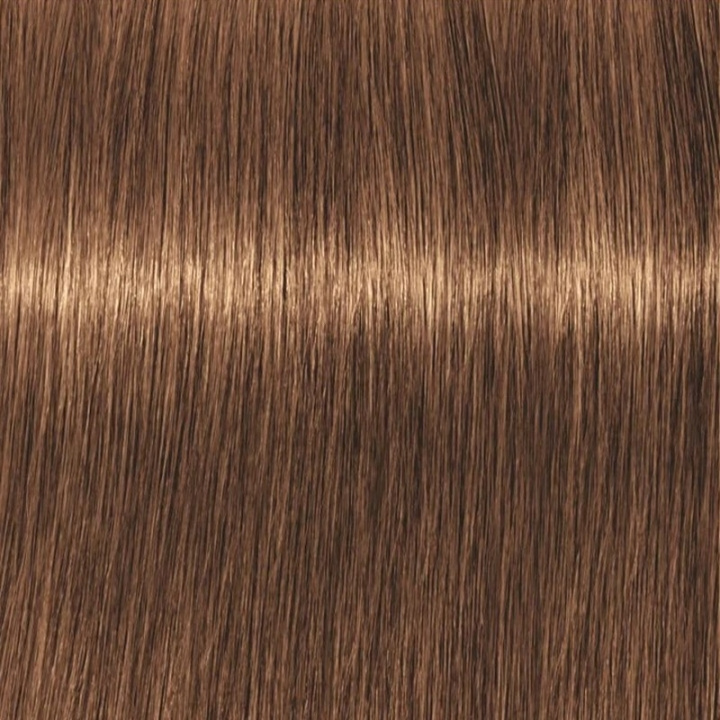 Schwarzkopf Professional Igora Vibrance Kit 7-55 Medium Blonde Gold Extra in de groep BEAUTY & HEALTH / Haar & Styling / Haarverzorging / Haarverf / Haarverf & Kleurbommen bij TP E-commerce Nordic AB (C62336)