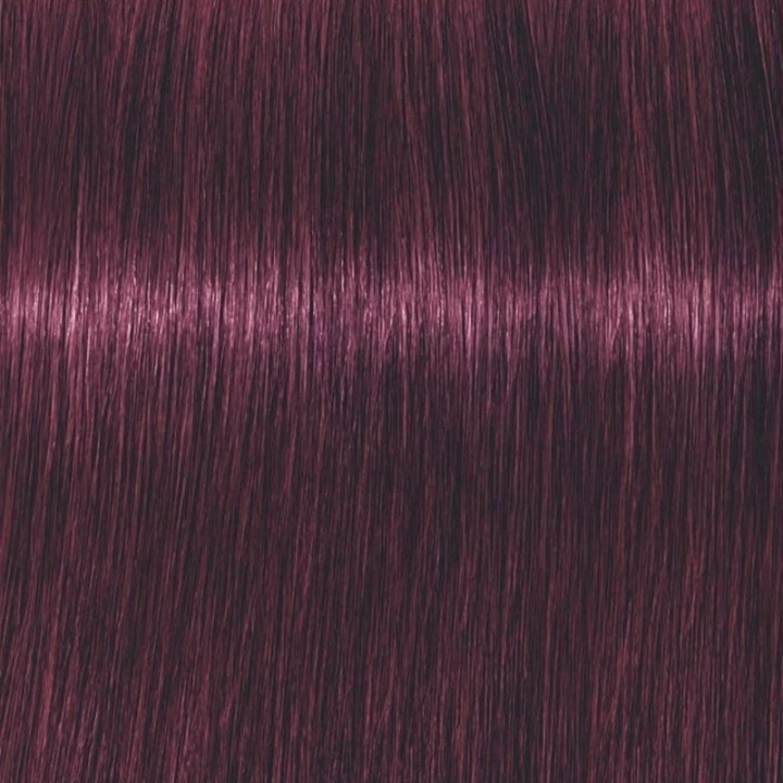 Schwarzkopf Professional Igora Vibrance Kit 6-99 Dark Blonde Violet Extra in de groep BEAUTY & HEALTH / Haar & Styling / Haarverzorging / Haarverf / Haarverf & Kleurbommen bij TP E-commerce Nordic AB (C62337)