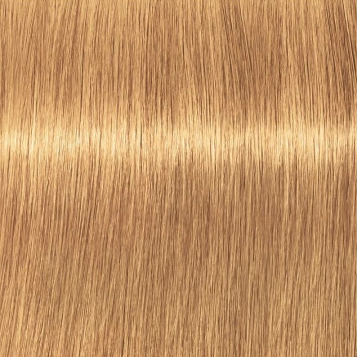 Schwarzkopf Professional Igora Vibrance Kit 9-55 Extra Light Blonde Gold Extra in de groep BEAUTY & HEALTH / Haar & Styling / Haarverzorging / Haarverf / Haarverf & Kleurbommen bij TP E-commerce Nordic AB (C62347)