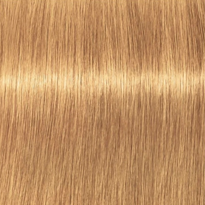Schwarzkopf Professional Igora Vibrance Kit 9-55 Extra Light Blonde Gold Extra in de groep BEAUTY & HEALTH / Haar & Styling / Haarverzorging / Haarverf / Haarverf & Kleurbommen bij TP E-commerce Nordic AB (C62347)
