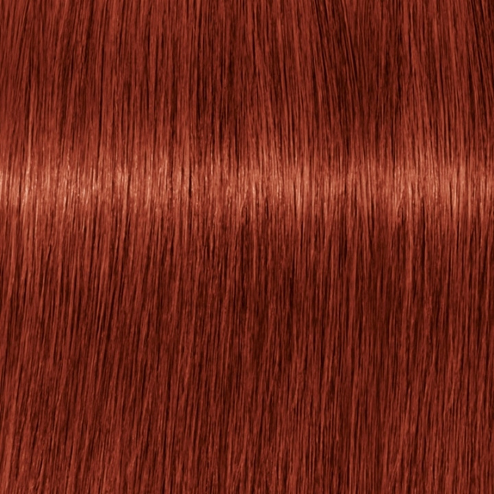 Schwarzkopf Professional Igora Vibrance Kit 7-88 Medium Blonde Red Extra in de groep BEAUTY & HEALTH / Haar & Styling / Haarverzorging / Haarverf / Haarverf & Kleurbommen bij TP E-commerce Nordic AB (C62350)