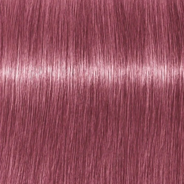 Schwarzkopf Professional Igora Vibrance Kit 9.5-98 Violet Red Toner in de groep BEAUTY & HEALTH / Haar & Styling / Haarverzorging / Haarverf / Haarverf & Kleurbommen bij TP E-commerce Nordic AB (C62363)