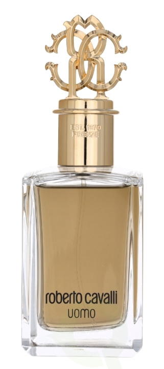 Roberto Cavalli Uomo Edt Spray 100 ml in de groep BEAUTY & HEALTH / Geuren & Parfum / Parfum / Parfum voor hem bij TP E-commerce Nordic AB (C78846)