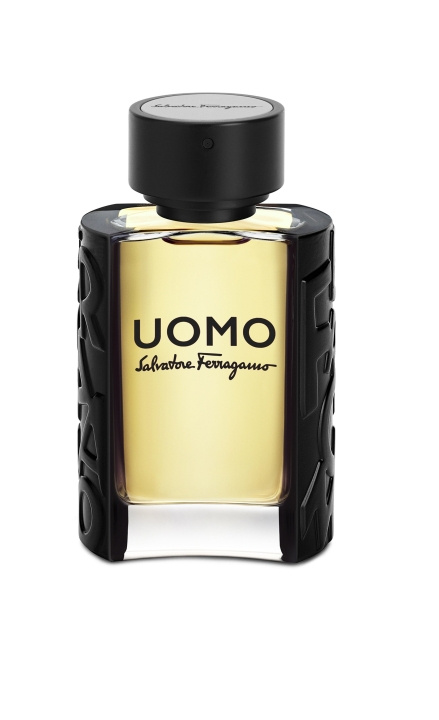 Salvatore Ferragamo Uomo EDT 50 ml in de groep BEAUTY & HEALTH / Geuren & Parfum / Parfum / Parfum voor hem bij TP E-commerce Nordic AB (C84871)