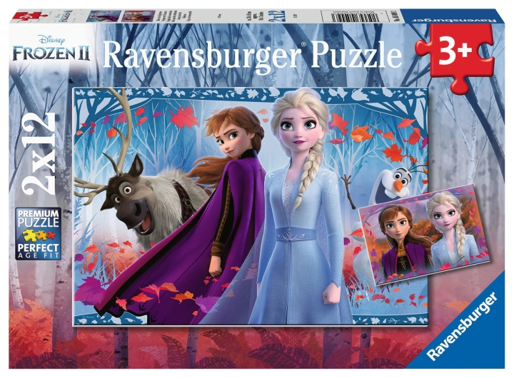 Ravensburger Frozen 2 Reis naar het onbekende 2x12p - 05009 in de groep SPEELGOED, KINDER- & BABYPRODUCTEN / Speelgoed / Kinderpuzzel bij TP E-commerce Nordic AB (C85765)