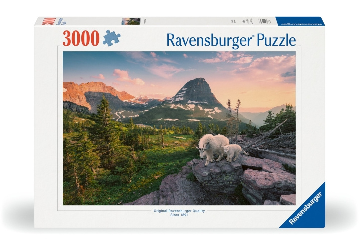 Ravensburger Puzzel Foto Stadslandschap 3000p (12000809) in de groep SPORT, VRIJE TIJD & HOBBY / Hobby / Puzzel bij TP E-commerce Nordic AB (C86133)