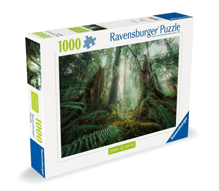 Ravensburger Puzzel Woods 1000p (12000292) in de groep SPORT, VRIJE TIJD & HOBBY / Hobby / Puzzel bij TP E-commerce Nordic AB (C86435)