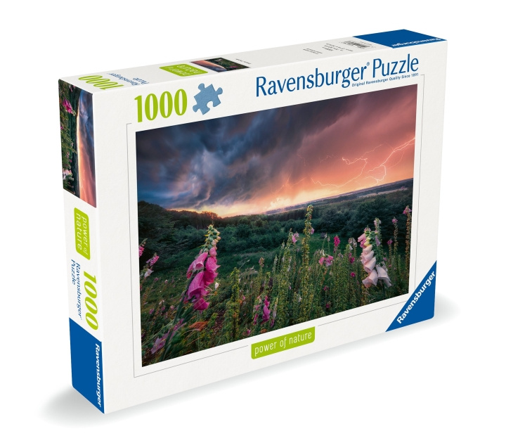 Ravensburger Puzzel Dreamy Thunder 1000p (12000793) in de groep SPORT, VRIJE TIJD & HOBBY / Hobby / Puzzel bij TP E-commerce Nordic AB (C86531)