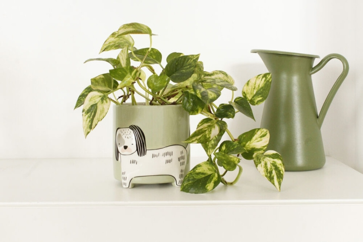 Winkee Bloempot hond - Hoogte: 40 cm, Diameter: 13 cm in de groep SPORT, VRIJE TIJD & HOBBY / Leuke dingen / Handige spullen bij TP E-commerce Nordic AB (C99140)