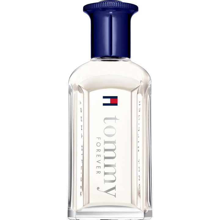 Tommy Hilfiger Tommy Forever EdT - 50 ml in de groep BEAUTY & HEALTH / Geuren & Parfum / Parfum / Parfum voor hem bij TP E-commerce Nordic AB (D01859)