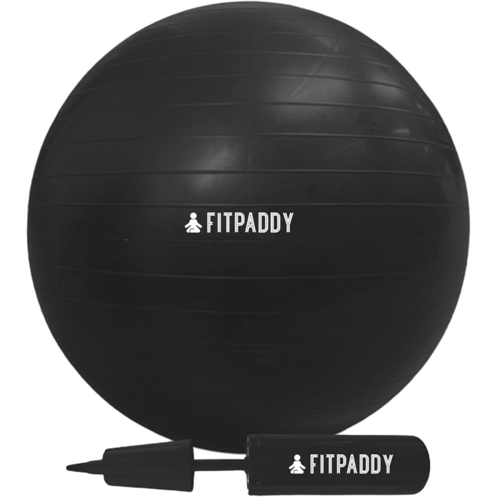 Fitpaddy Gym Ball 65 cm in de groep SPORT, VRIJE TIJD & HOBBY / Oefen materiaal / Training-accessoires bij TP E-commerce Nordic AB (D11517)