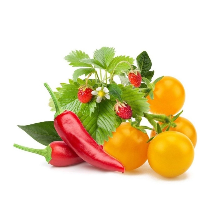 Click & Grow Smart Garden navulling 9-pack fruit- en groentemix in de groep SPORT, VRIJE TIJD & HOBBY / Leuke dingen / Handige spullen bij TP E-commerce Nordic AB (D12757)