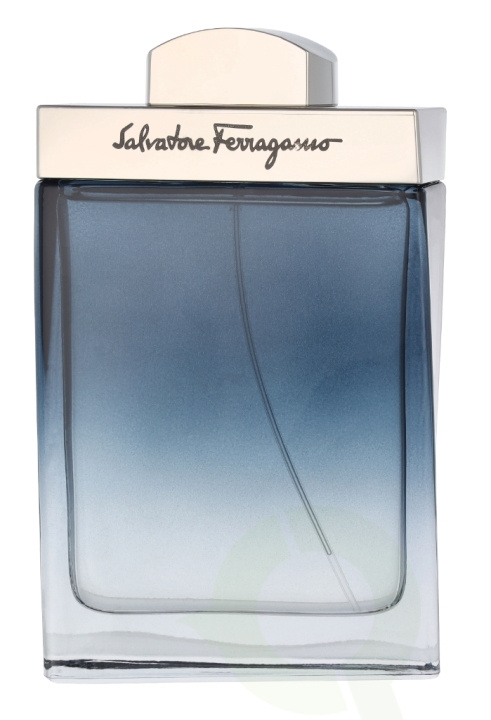 Ferragamo Subtil Pour Homme Edt Spray 100 ml in de groep BEAUTY & HEALTH / Geuren & Parfum / Parfum / Parfum voor hem bij TP E-commerce Nordic AB (D14837)