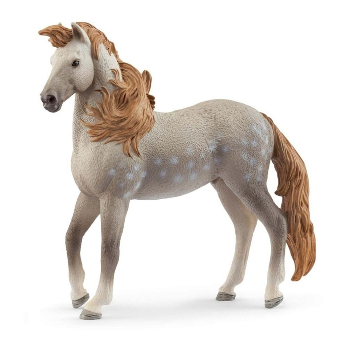 Schleich Andalusische Hengst - (14895) in de groep SPEELGOED, KINDER- & BABYPRODUCTEN / Speelgoed / Figuren, Miniaturen & accessoires bij TP E-commerce Nordic AB (D15330)