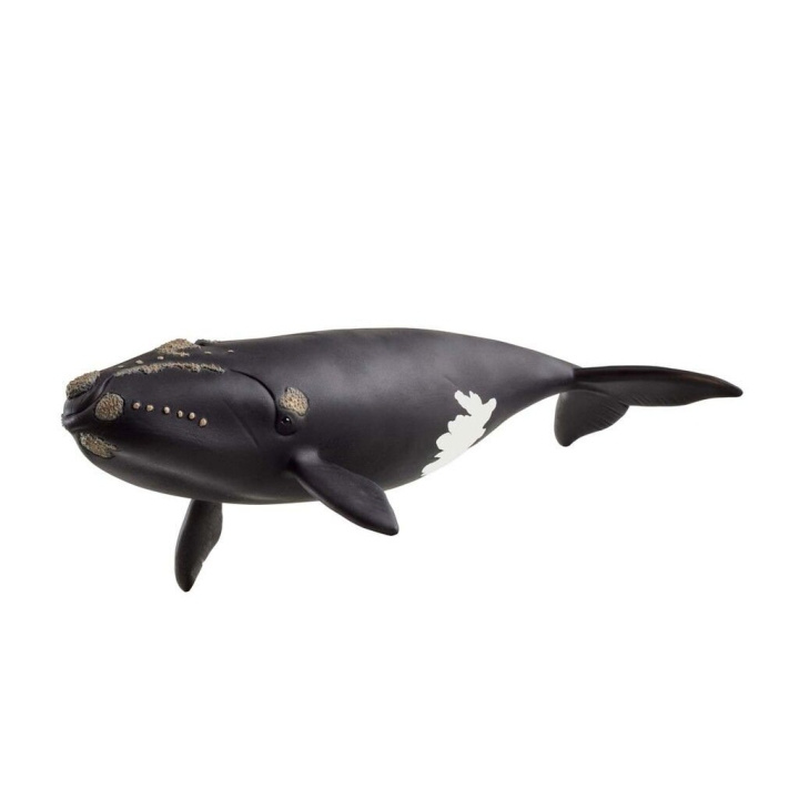 Schleich Noord-Atlantische walvis - (14878) in de groep SPEELGOED, KINDER- & BABYPRODUCTEN / Speelgoed / Figuren, Miniaturen & accessoires bij TP E-commerce Nordic AB (D15333)