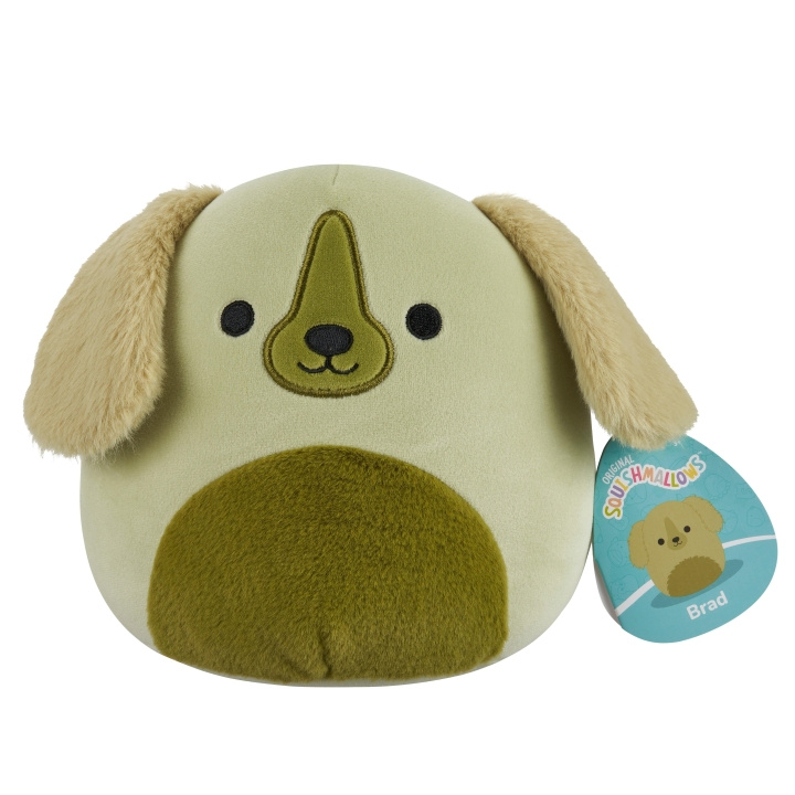 Squishmallows 19 cm Pluche P22 - Brad de Golden Retriever in de groep SPEELGOED, KINDER- & BABYPRODUCTEN / Babyspeelgoed / Knuffels bij TP E-commerce Nordic AB (D15363)