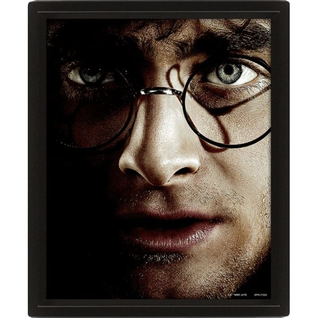 Pyramid International HARRY POTTER (HARRY VS VOLDEMORT) - INGELIJST in de groep SPORT, VRIJE TIJD & HOBBY / Leuke dingen / Verzamelobjecten bij TP E-commerce Nordic AB (D15438)